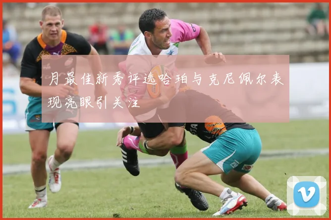月最佳新秀评选哈珀与克尼佩尔表现亮眼引关注