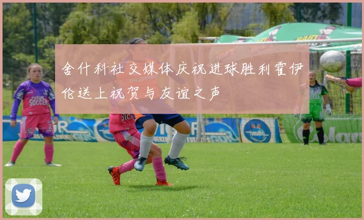 舍什科社交媒体庆祝进球胜利霍伊伦送上祝贺与友谊之声