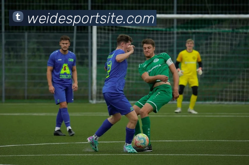 伟德体育APP 封面图